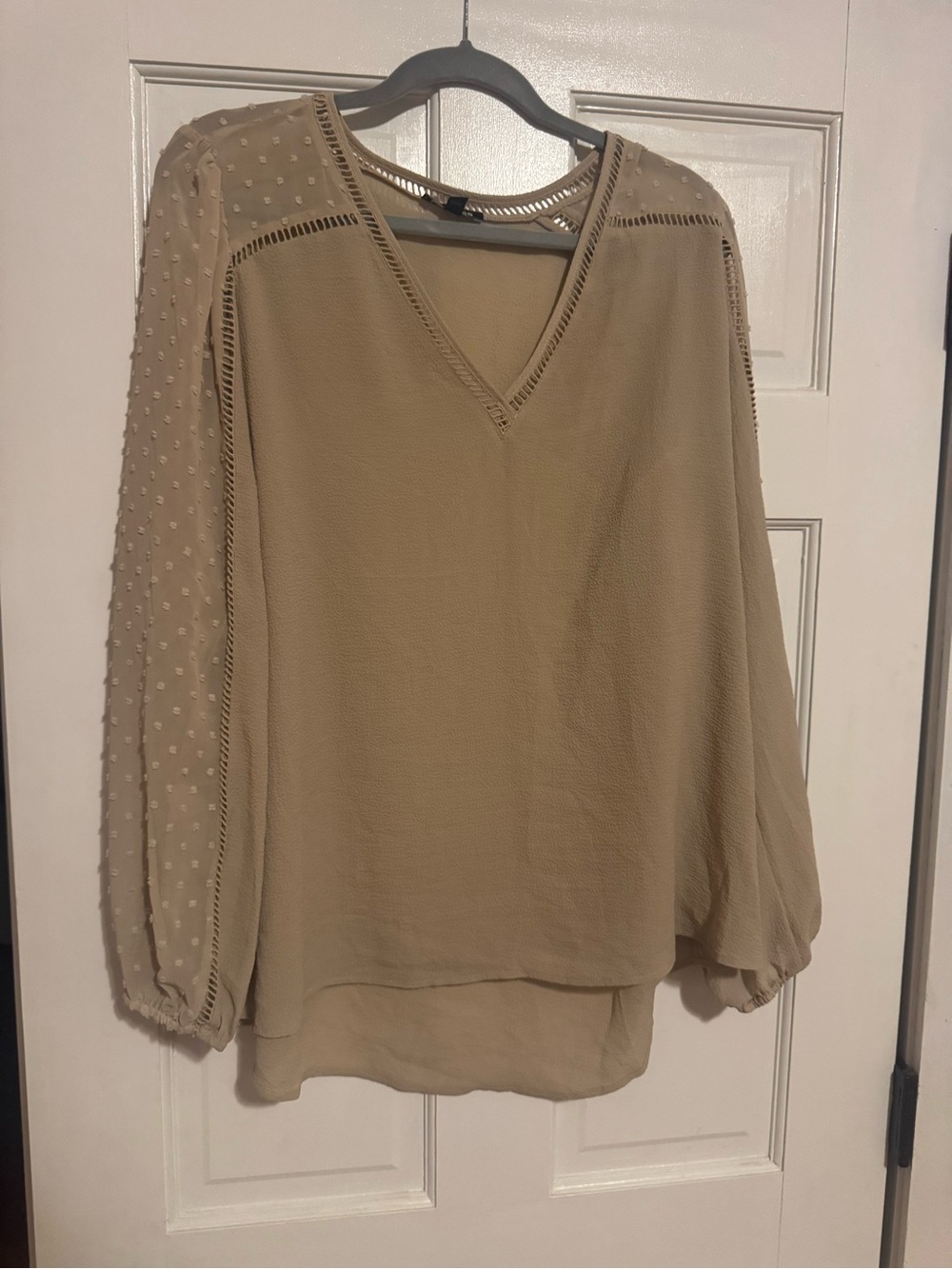 Express Beige V-Neck Swiss Dot Long Sleeve Blouse